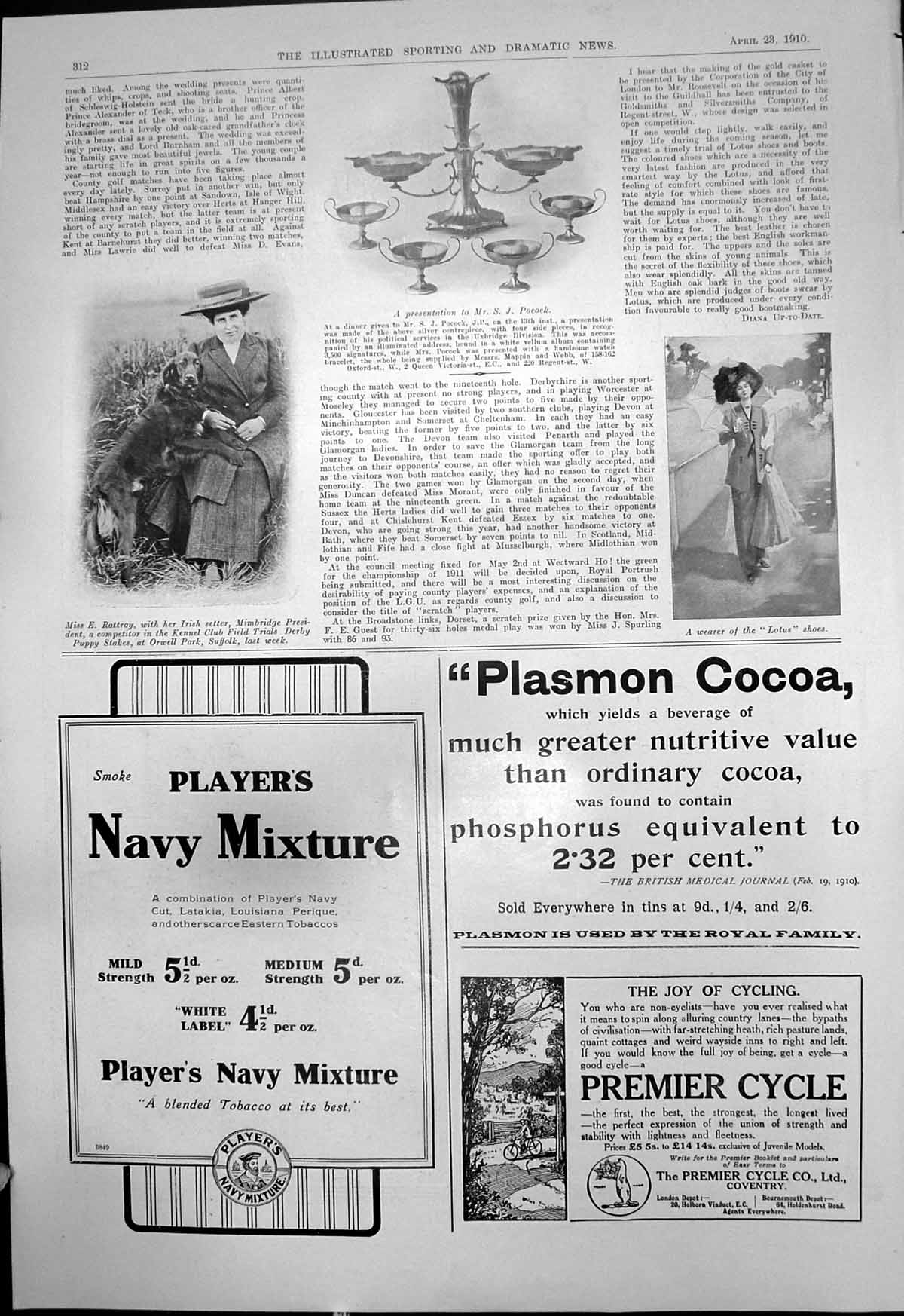 Old Miss E Rattray Irish Setter Kennel Club Presentation S Pocock 191 20th
