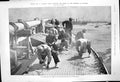 Old Print Fitting Decks Brynhild Gosport Padding Out Schooner Cicely 1910 20th