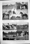Antique Print Race Newmarket Winkipop Wins Sandhurst Sports Camberley 1910 20th