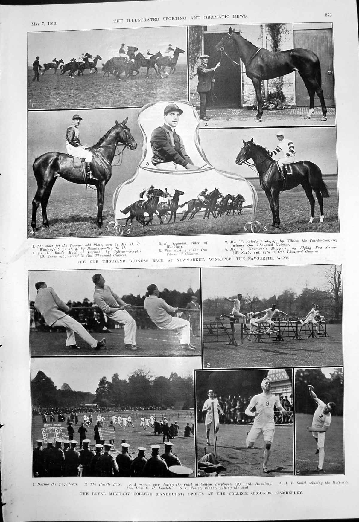 Antique Print Race Newmarket Winkipop Wins Sandhurst Sports Camberley 1910 20th