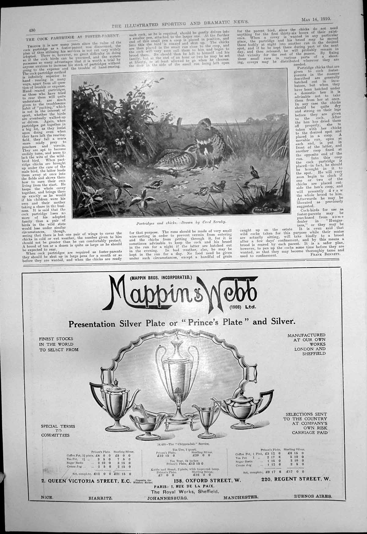 Old Partridges Chicks Cecil Scruby Mappin Webb Silver Sheffield 1910 20th