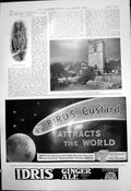 Old Antique Print Long Eared Owl Church Tower Garden Birds Custard 1910 20th