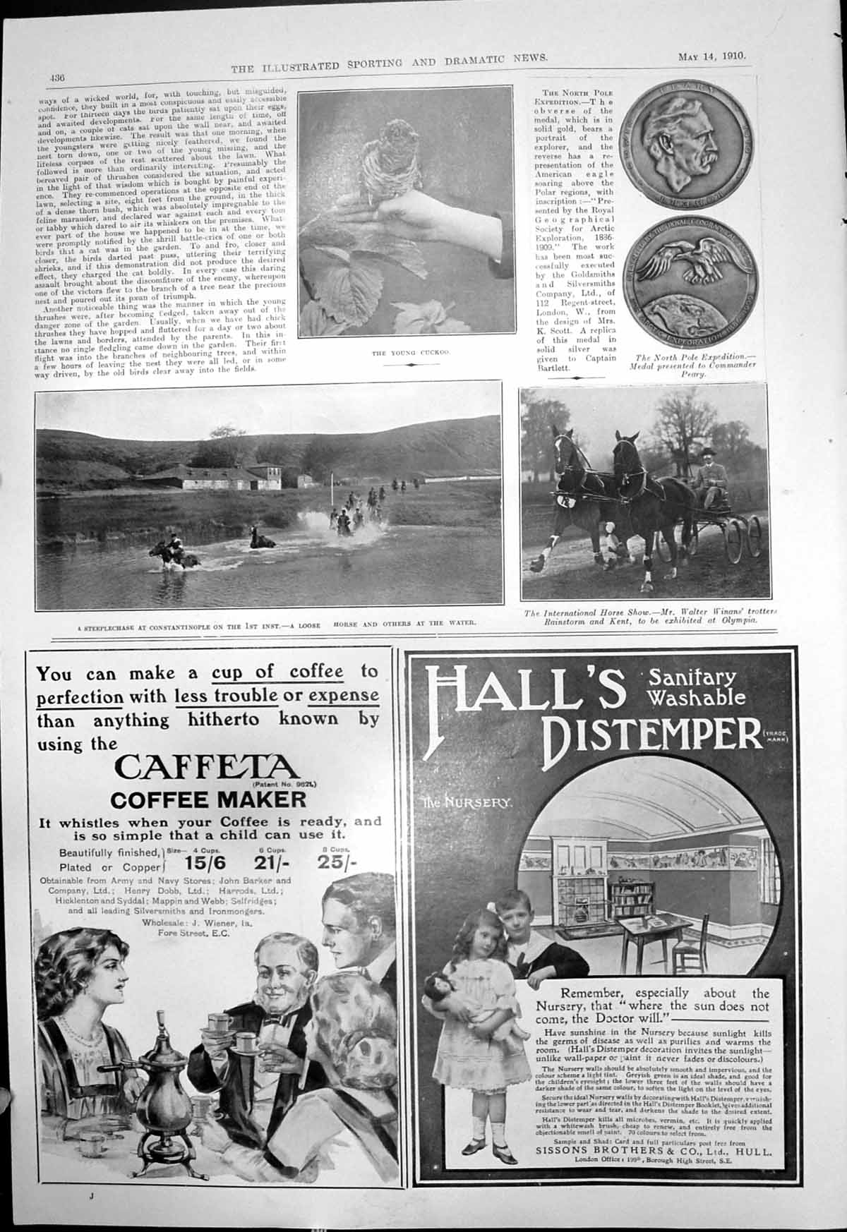 Antique Old Print Horse Show Walter Winan Rainstorm Kent Young Cuckoo 1910 20th