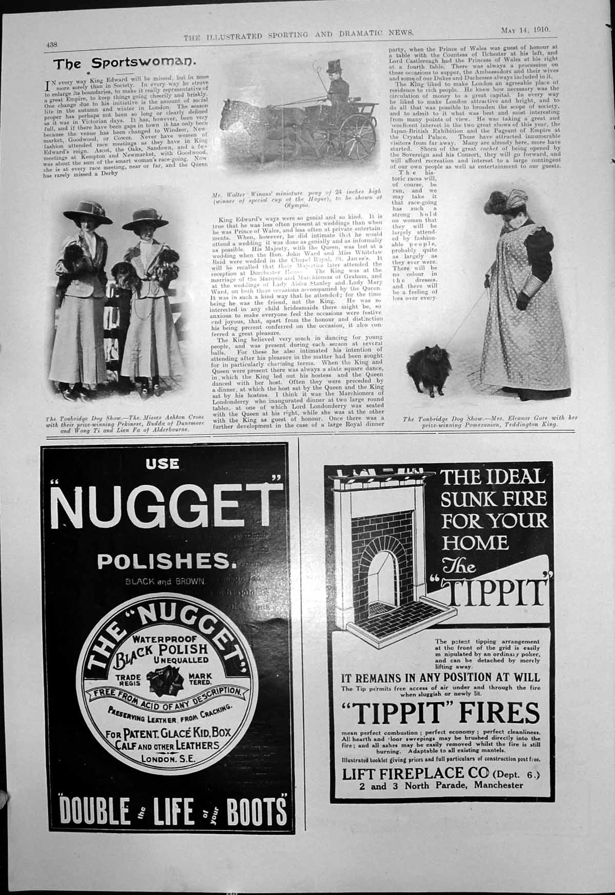 Antique Print Walter Winan Pony Tonbridge Dog Show Misses Ashton Cross 1910