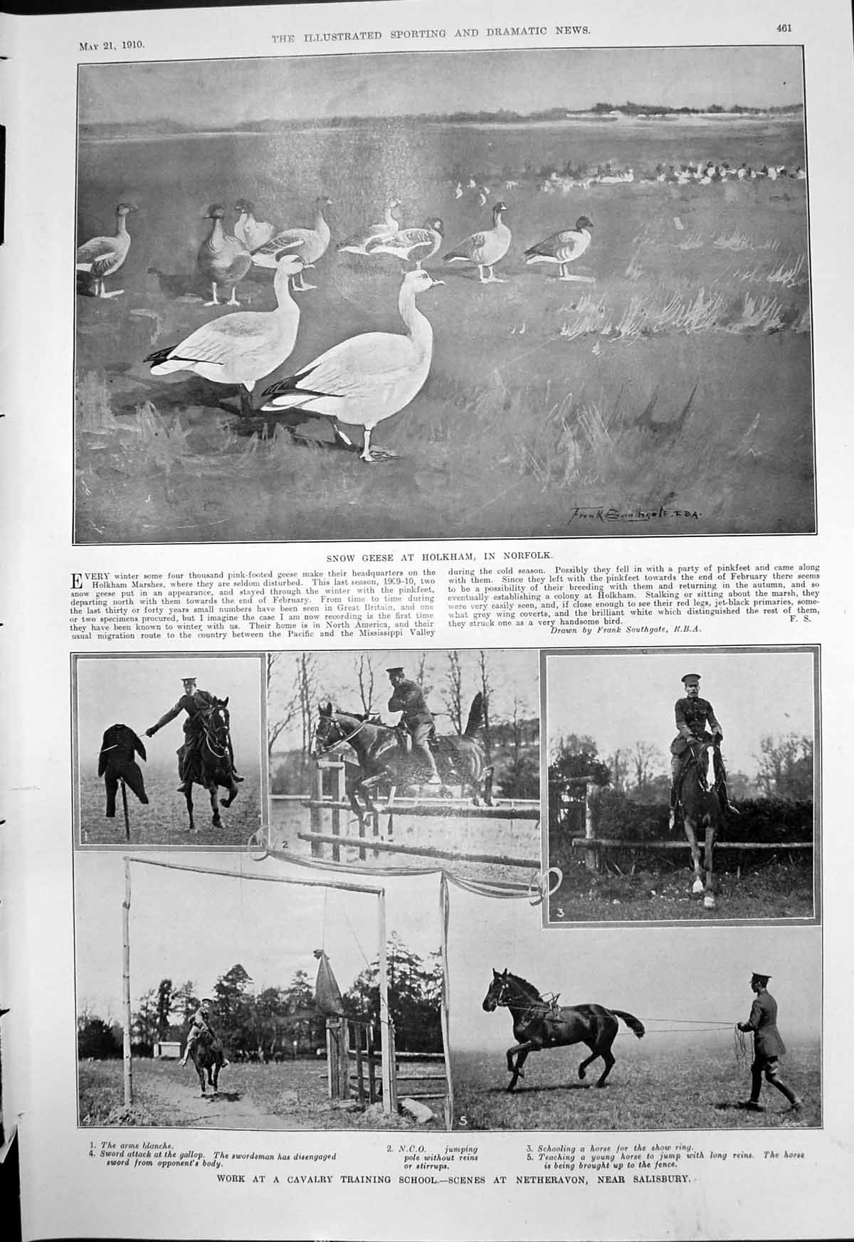 Antique Old Print Snow Geese Holkham Cavalry Training School Netheravon 1910