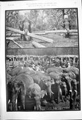 Antique Print Elephant East Pier Head Frank Bibby Dawn Winter A Stokes 1910