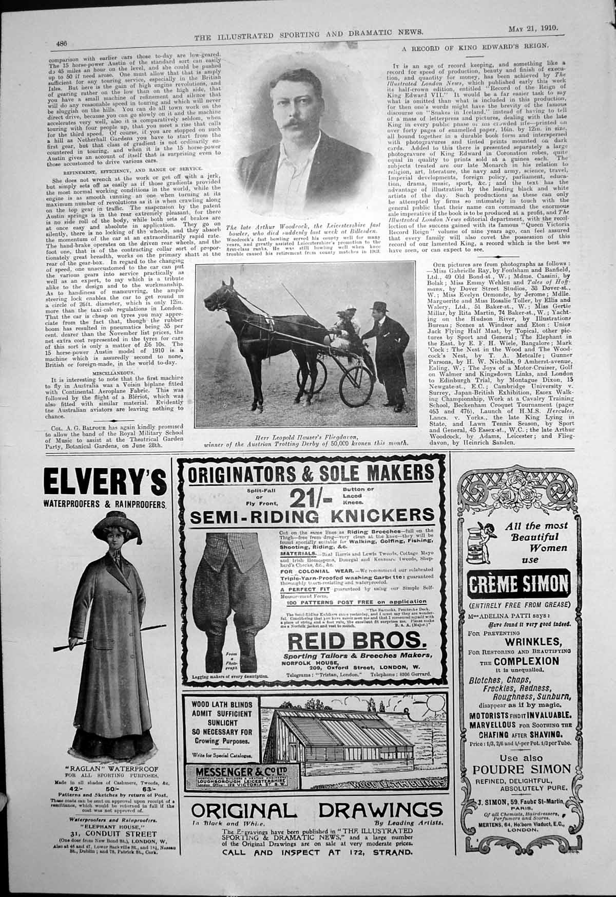 Antique Old Print Arthur Woodcock Leicester Bowler Herr LeopHausers Horse1910