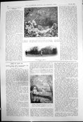 Old Young Rabbits Home Shot Along Hedgerow If Stout Take Antipon 1910 20th