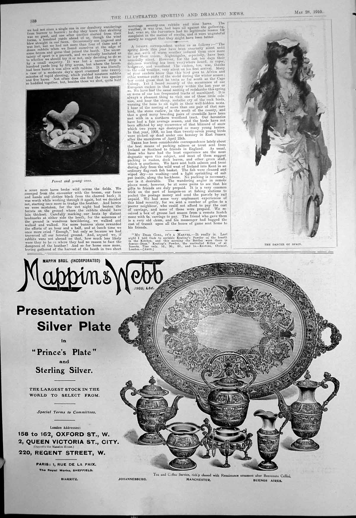 Old Print Ferret Young Ones Dancer Spain Mappins & Webb Silver Plate 1910 20th