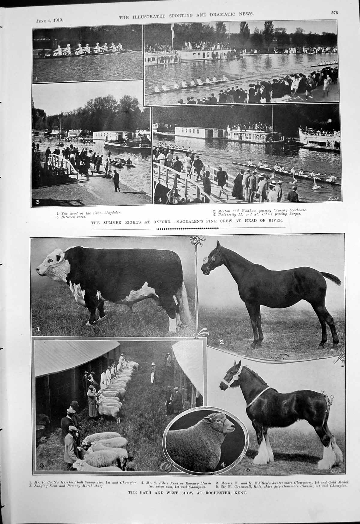 Antique Old Print Summer Eights Oxford Bath West Show Alterations Ascot 1910