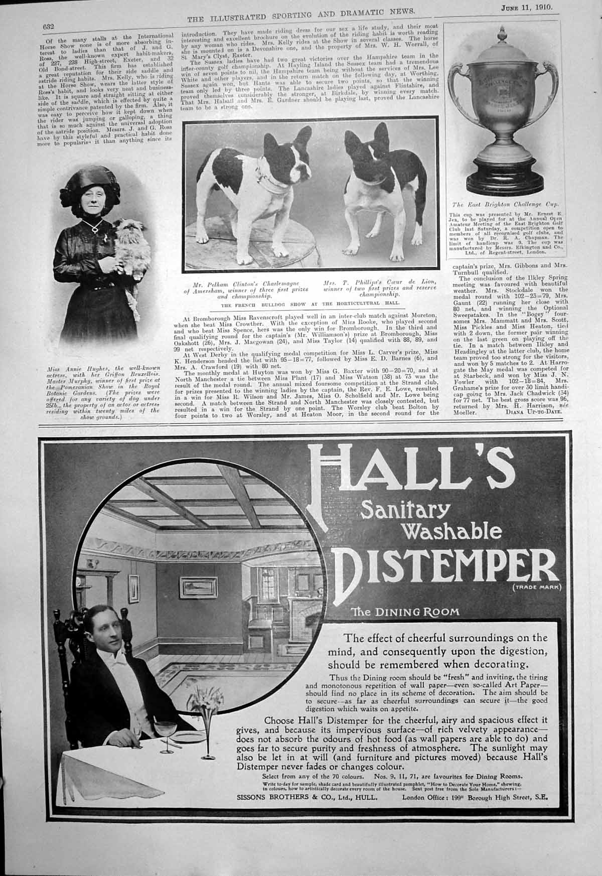 Old Print Annie Hughes Actress French Bulldog Show East Brighton Cup 1910 20th