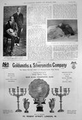 Old U S Davis Cup Beals Wrighr F Alexander Rook Enos Fruit Salt 1910 20th