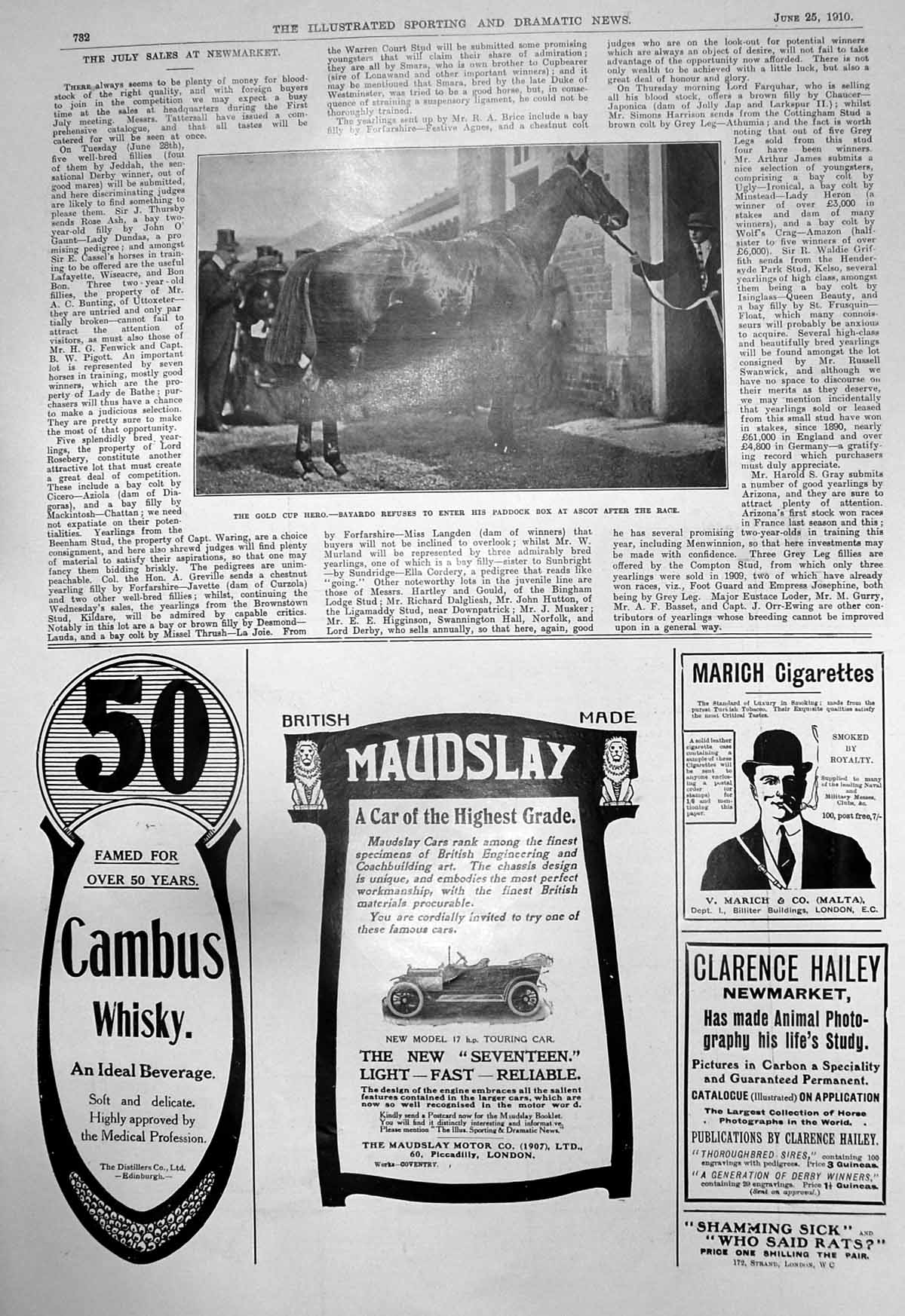 Old Antique Print GCup Hero Bayardo Ascot Cambus Whisky Maudslay Car 1910 20th