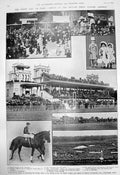 Old Grand Prix De Paris Defeat English Derby Winner Lemberg Nephte 19 20th