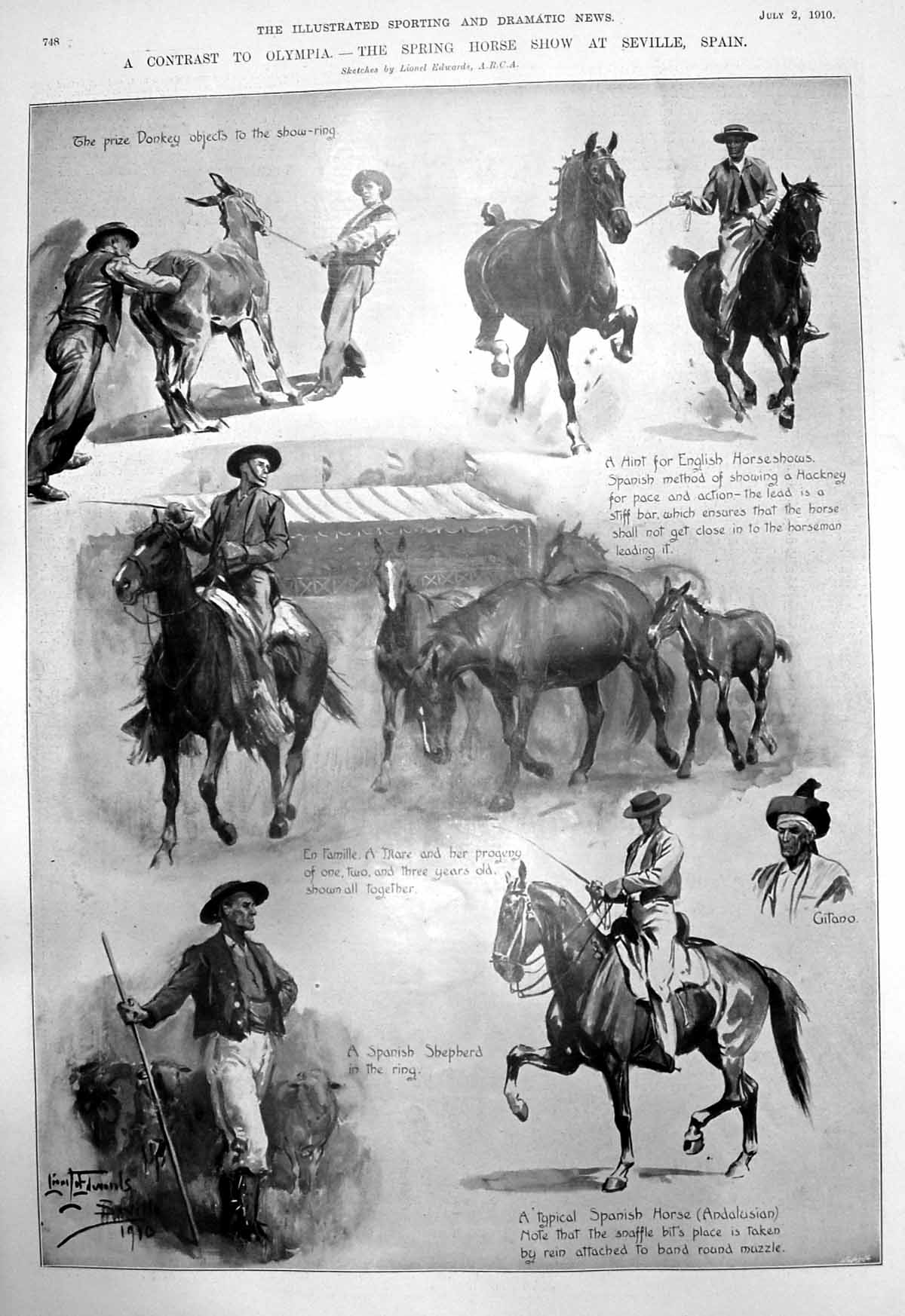 Antique Print Horse Show Seville Oxford Cambridge Swimming Races Bath 1910 20th