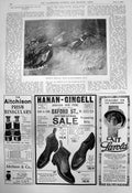 Old Mongolian Pheasants F Southgate Hanan Gingell American Shoes 1910 20th