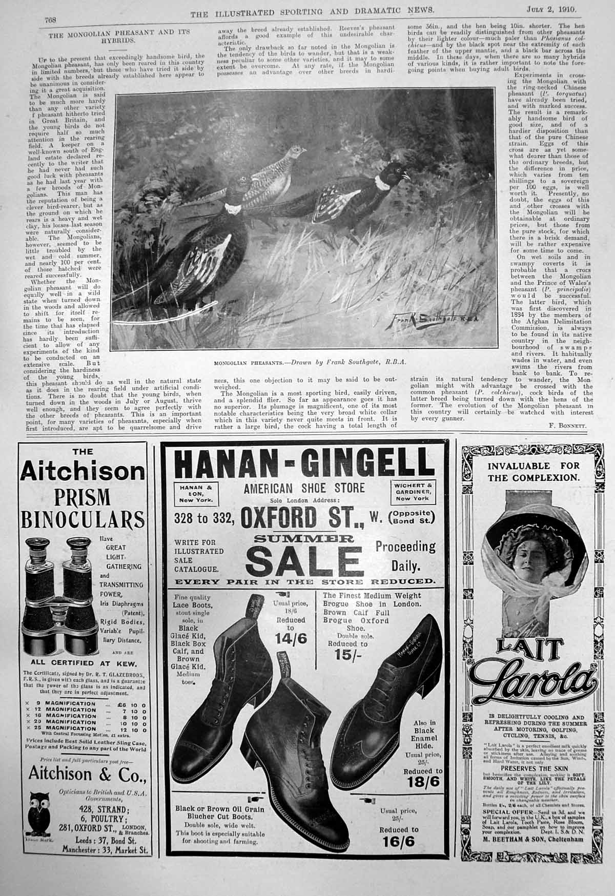 Old Mongolian Pheasants F Southgate Hanan Gingell American Shoes 1910 20th