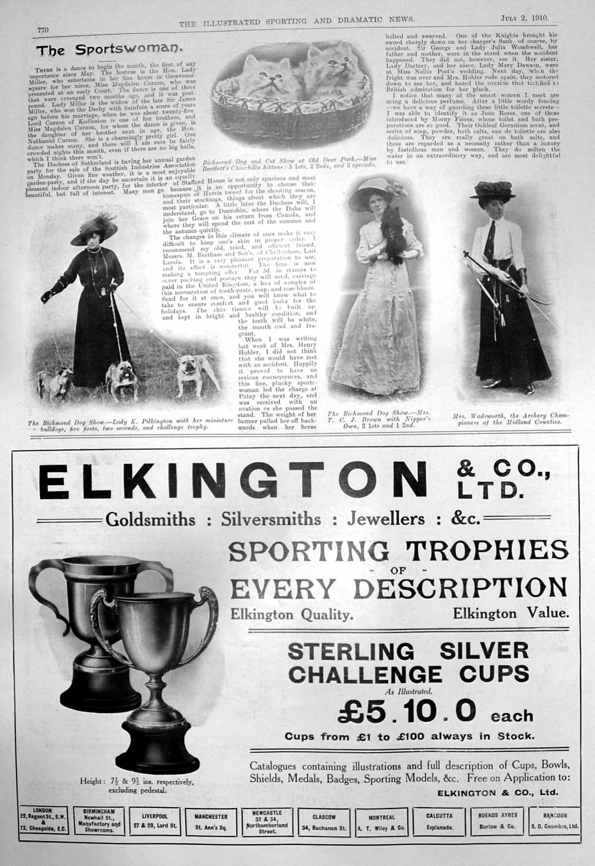 Old Dog Cat Show Chinchilla Kittens Lady Pilkington Mrs T Brown 1910 20th