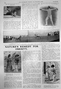 Old Wild Cat Highlands A Epee Fencing Polo Horse Guards Dragoons 1910 20th