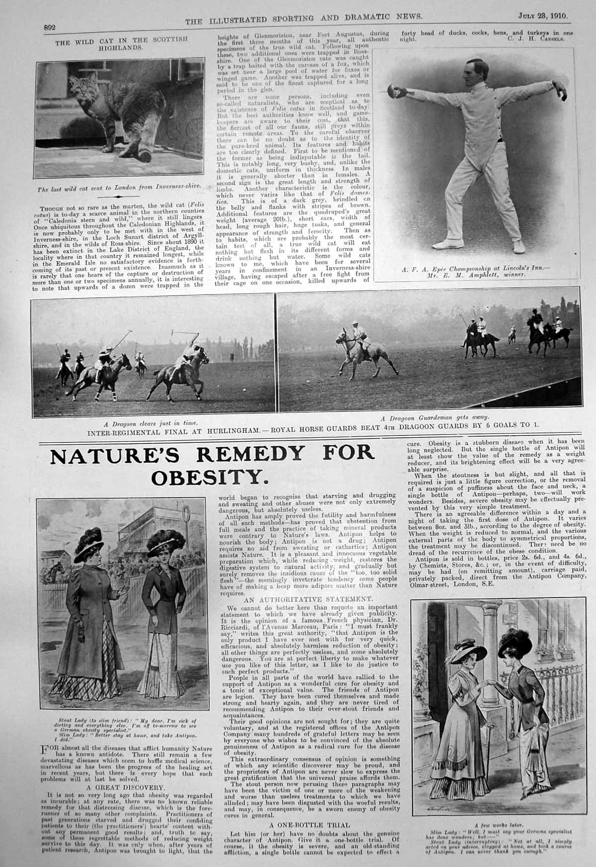 Old Wild Cat Highlands A Epee Fencing Polo Horse Guards Dragoons 1910 20th