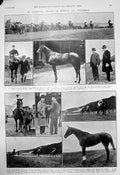 Old Print Goodwood Racing Horse Guards Polo Team Golf P Dawson Currie1910 20th