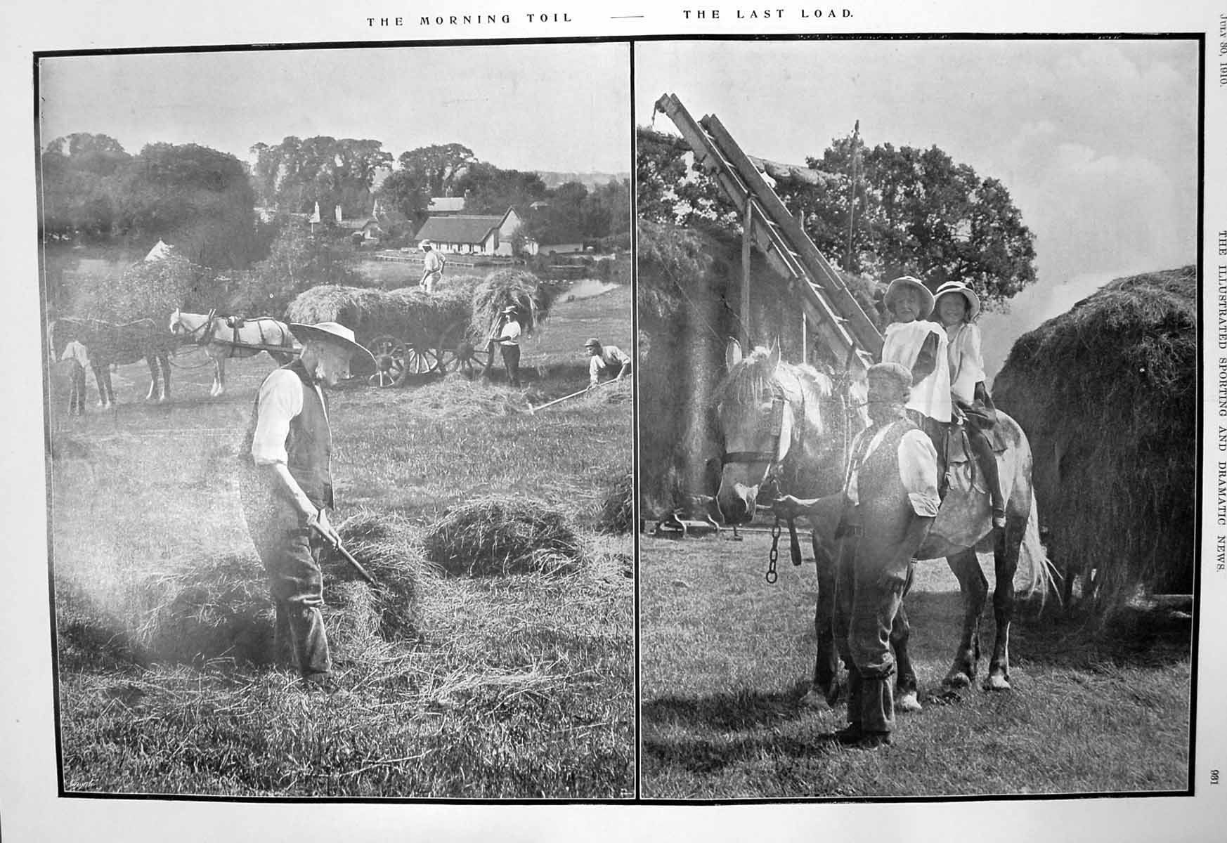 Old Morning Toil Last Load Harvest Grouse Lacey Caves Eden Appleby 19 20th