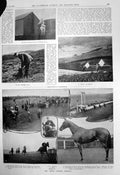 Antique Print Twelth Faskally Moors Brace Beaters Lewes Summer Meeting 1910