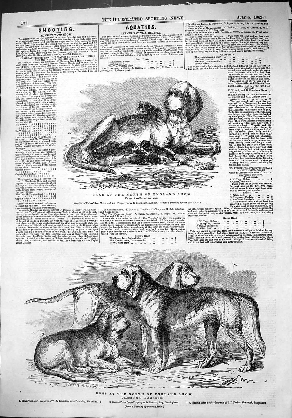 Old 1862 Dogs North England Show Bloodhounds Jennings Sinclair Parker Victorian