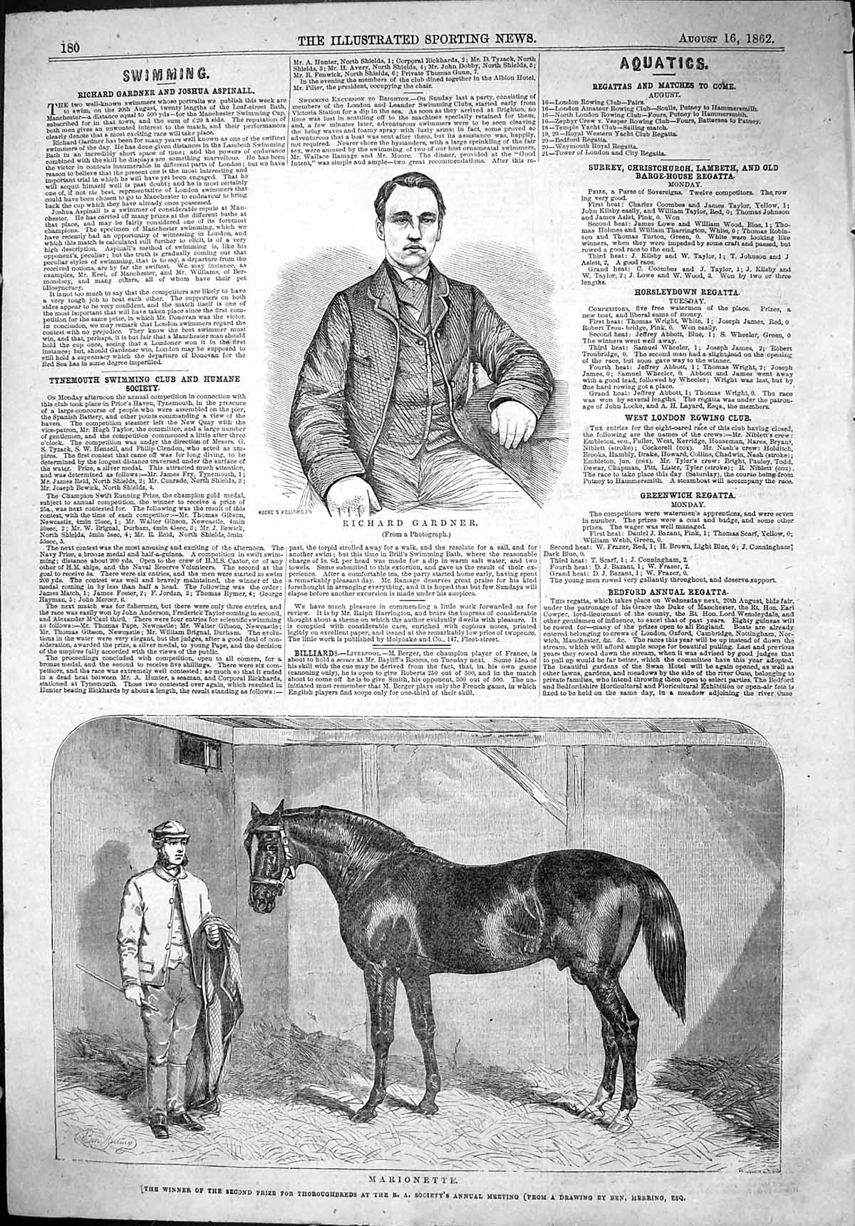 Antique Old Print 1862 Portrait Richard Gardner Marionette Horse Thoroughbred