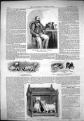 Old 1862 Pearson Canine Fancier Maltese Lion Dogs Riley Scotch Terrie Victorian