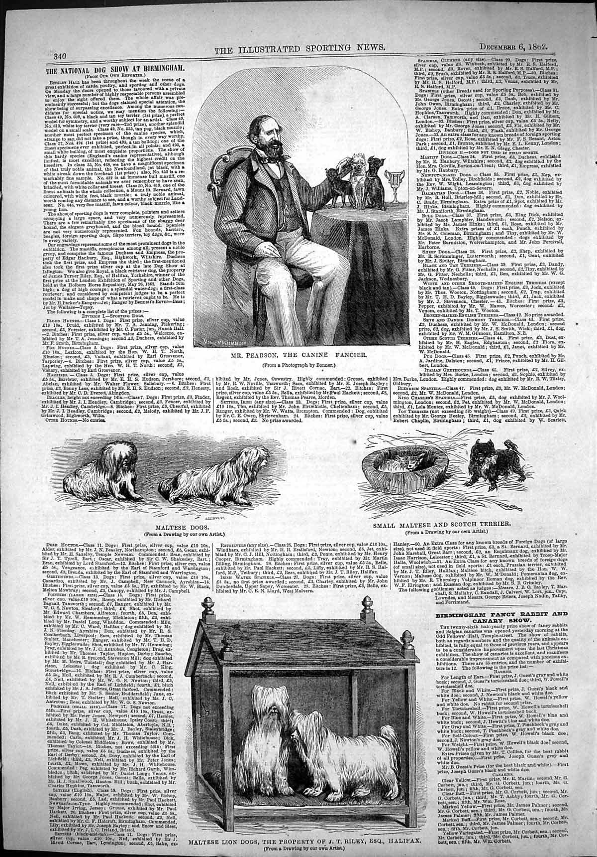 Old 1862 Pearson Canine Fancier Maltese Lion Dogs Riley Scotch Terrie Victorian