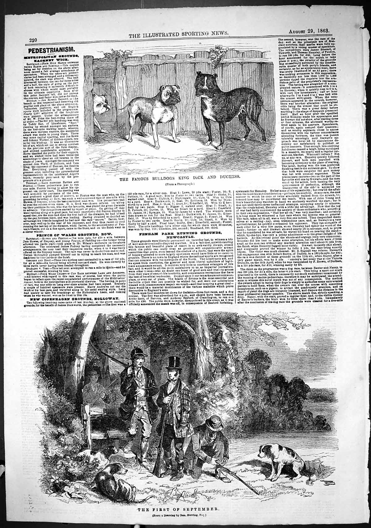 Old 1863 Famous Bulldogs King Dick Duchess First September Shooting H Victorian