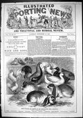 Old 1863 Prize Polutry Rabbits Agricultural Hall Islington Mottles Du Victorian