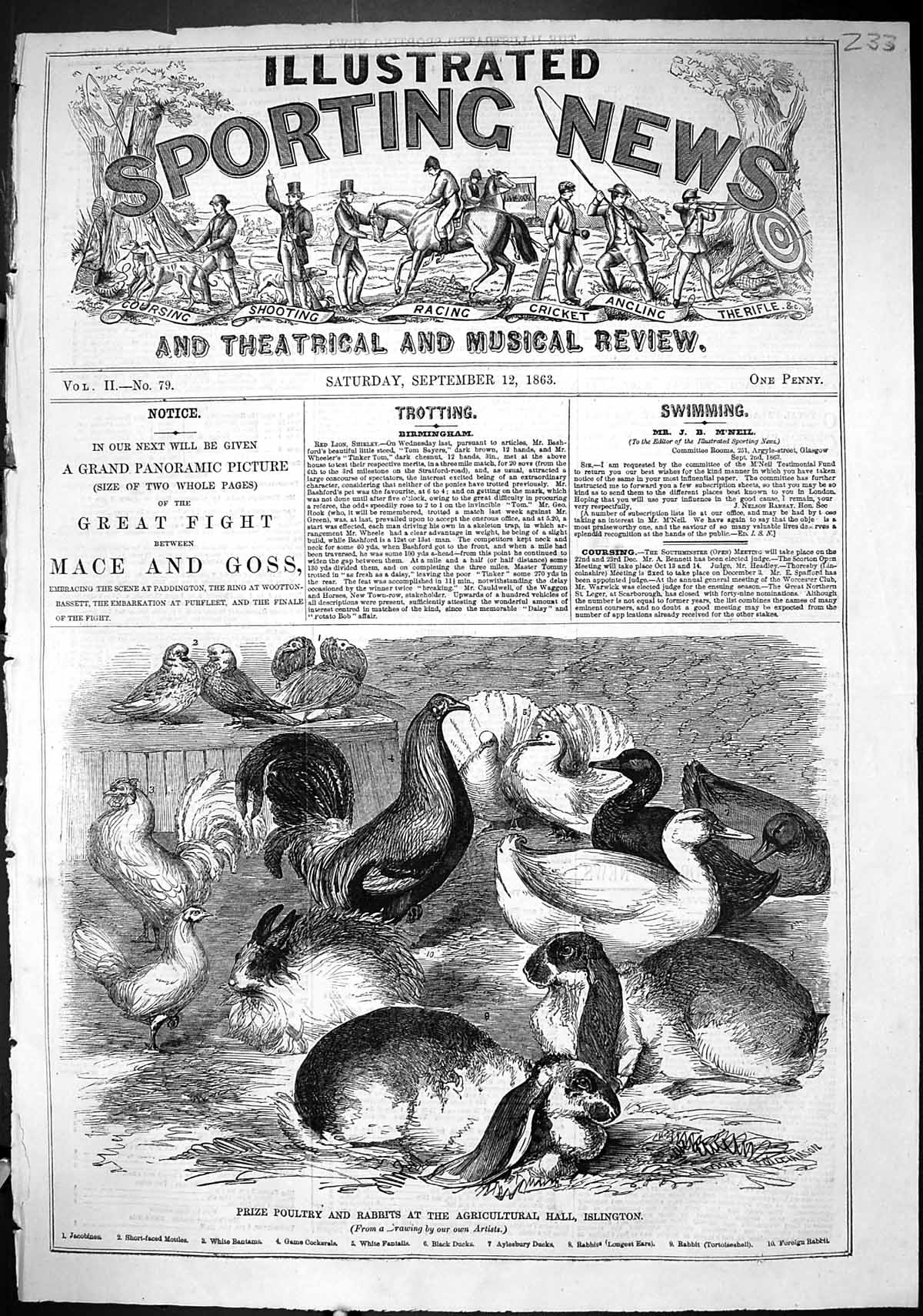 Old 1863 Prize Polutry Rabbits Agricultural Hall Islington Mottles Du Victorian