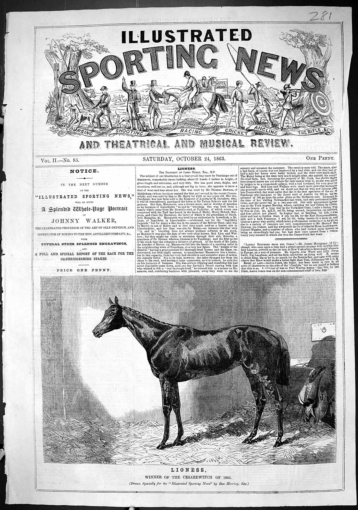Antique Old Print 1863 Portrait Lioness Winner Cesarewitch Horse Race Sport