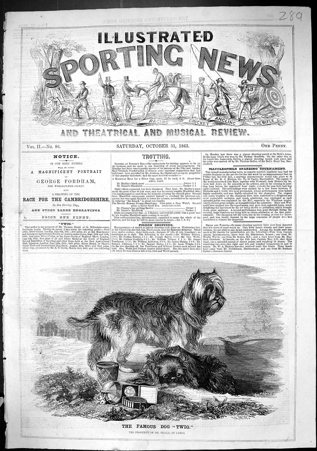 Original Old Antique Print 1863 Famous Dog Twig Property Heald Leeds Victorian