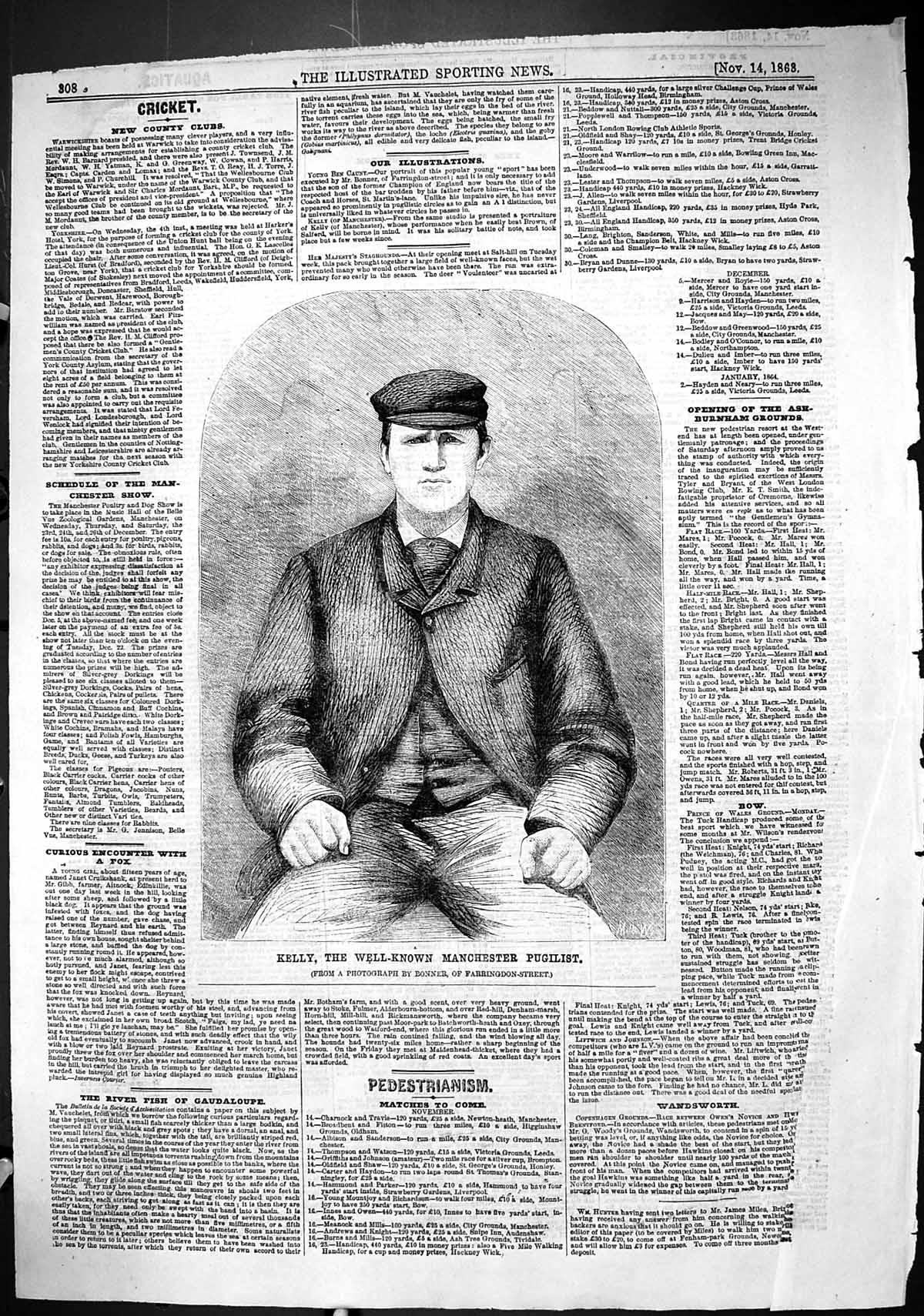Original Old Antique Print 1863 Portrait Kelly Manchester Pugilist Boxing Sport