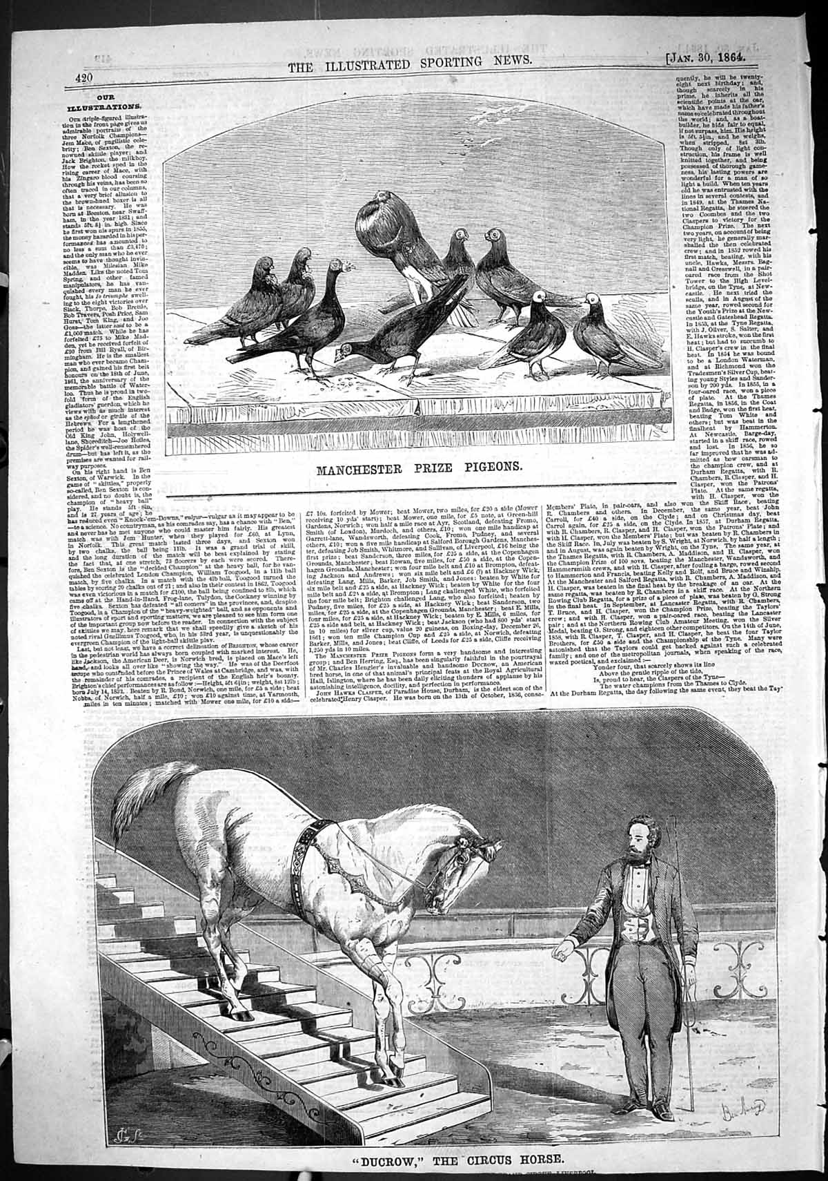 Old 1864 Manchester Prize Pigeons Birds Ducrow Circus Horse Entertain Victorian