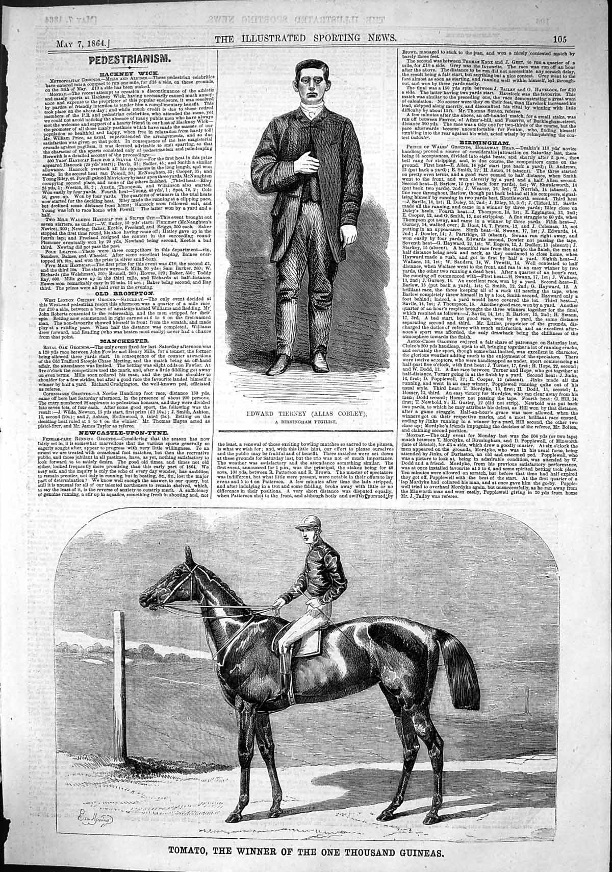 Old 1864 Edward Tierney Cobley Pugilist Tomato Horse Thousand Guineas Victorian