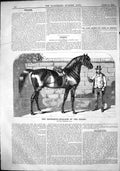 Old Antique Print 1864 Horse Favourite Stallion Season Sport Ben Herring 19th