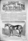 Old 1864 Horse Citadel Winner First Prize Show Islington Ben Herring Victorian