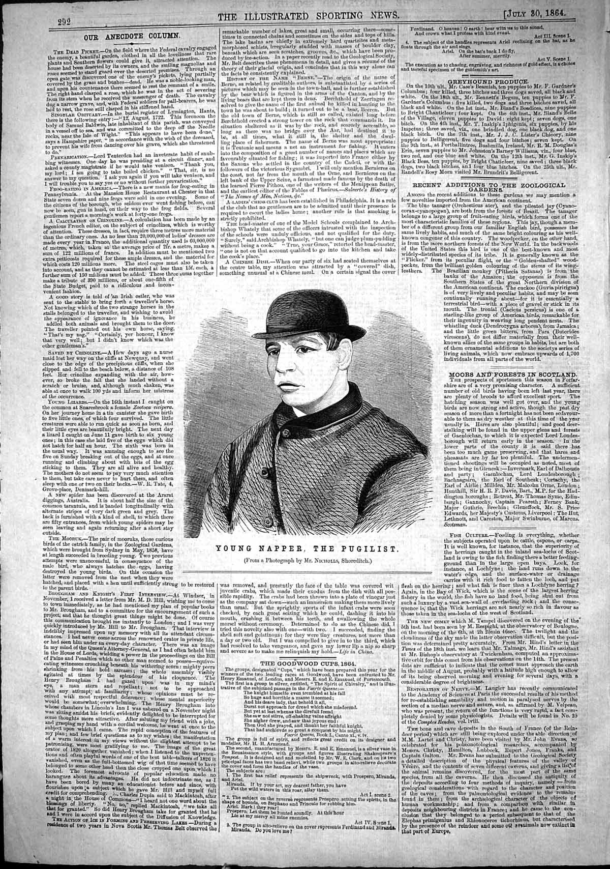 Original Old Antique Print 1864 Portrait Young Napper Pugilist Sport Man 19th