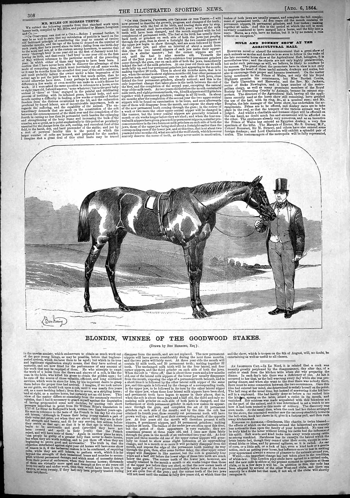 Old Antique Print 1864 Horse Racing Blondin Winner Goodwood Stakes Sport 19th