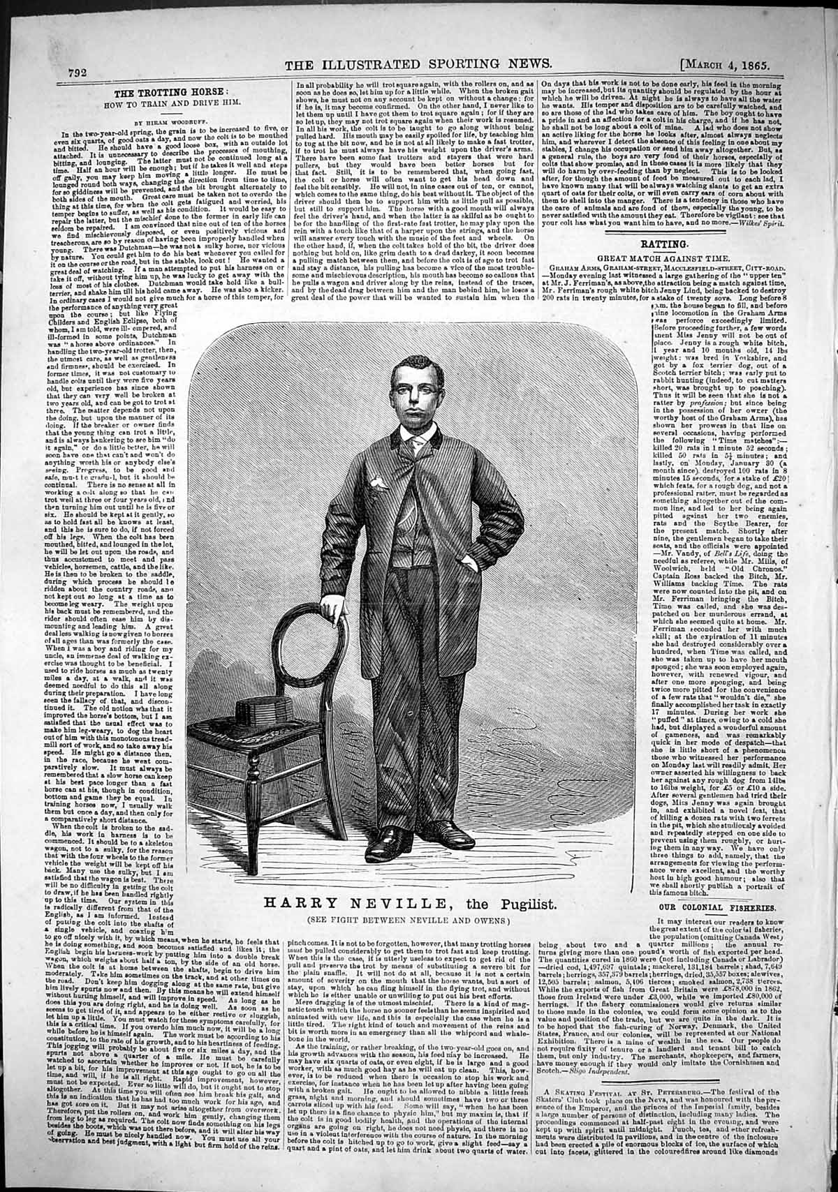 Old Antique Print 1865 Portrait Harry Neville Pugilist Boxing Sport Man 19th