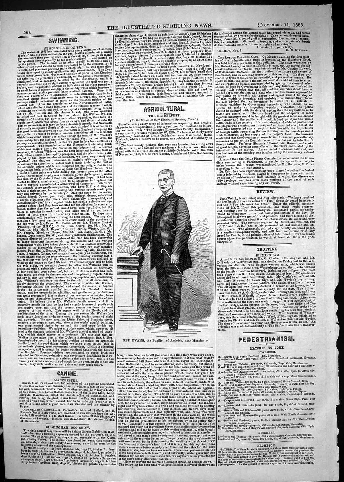 Original Old Antique Print 1865 Portrait Ned Evans Pugilist Ardwick Manchester