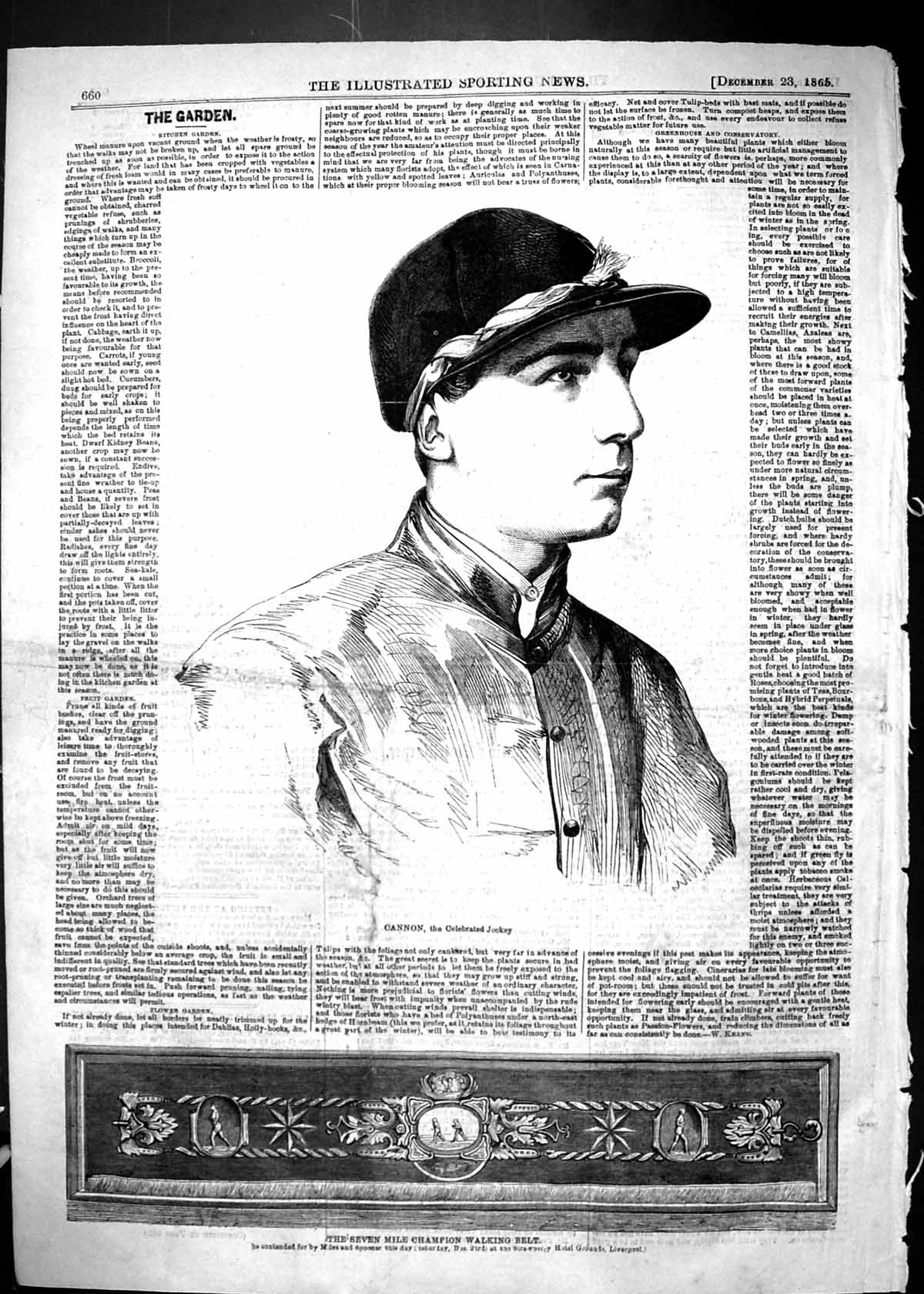 Antique Old Print 1865 Cannon Jockey Seven-Mile Champion Walking Belt Sport
