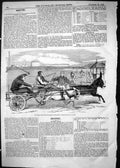Antique Old Print 1865 Napper Celebrated Moke Blackey Donkey Race Bow Sport