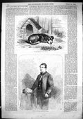 Antique Old Print 1866 Young Sullivan Pugilist Sport Man Celebrated Dog Jemmy