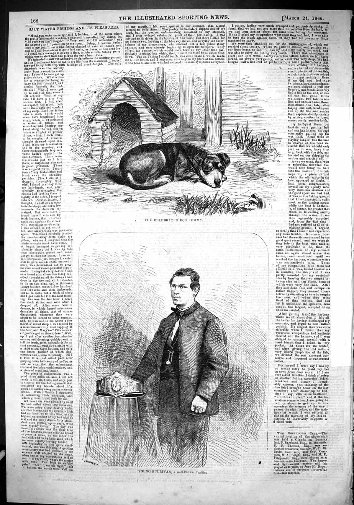 Antique Old Print 1866 Young Sullivan Pugilist Sport Man Celebrated Dog Jemmy