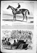 Old 1866 Lord Lyon Derby Horse Racing Sport Prince Wales Carriage Ben Victorian
